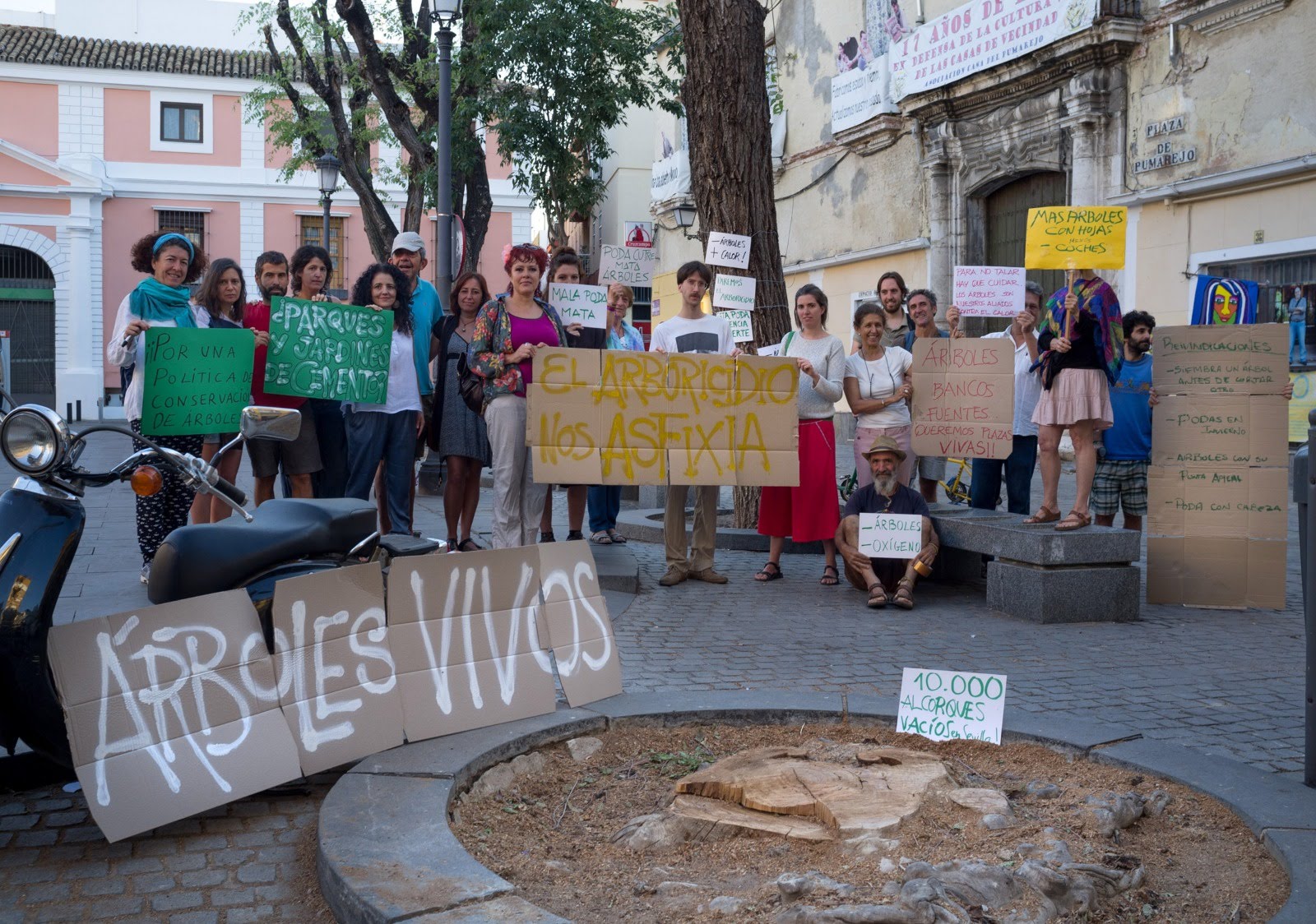 Contra arboricidios en
                    la plaza delPpumarejo