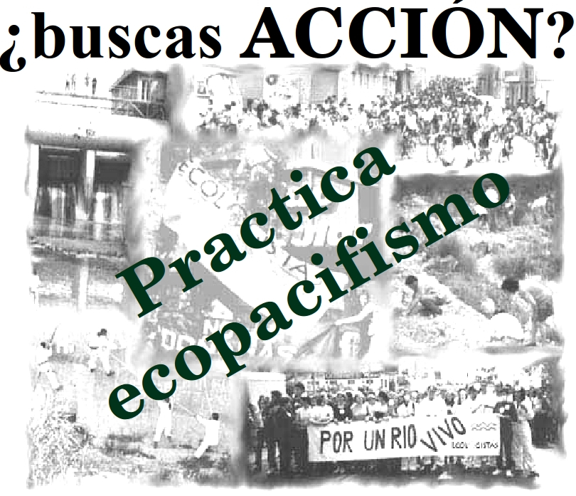 ne a Ecologistas
                            en Accin